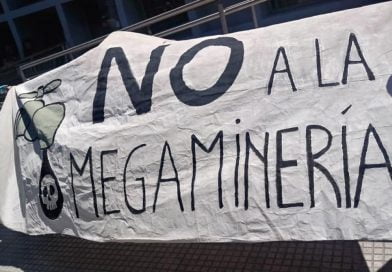 Cristina Agüero: «Esta ley estaba dentro de las inversiones de garantía en el acuerdo con el FMI»