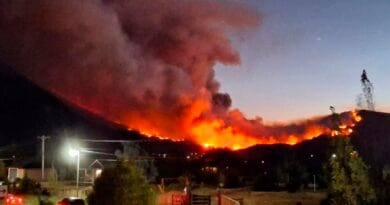 Fuegos en el sur: el gobernador Torres mantiene bloqueados más de 600 mil dólares para programas de prevención de incendios forestales