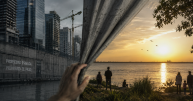 La soberanía ambiental II. Por Antolín Magallanes